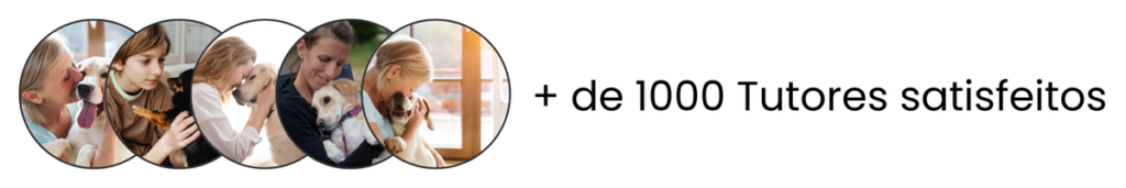 pet_store_por_thamara